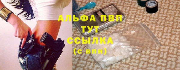 сатива Богородицк