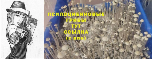 2c-b Новокубанск