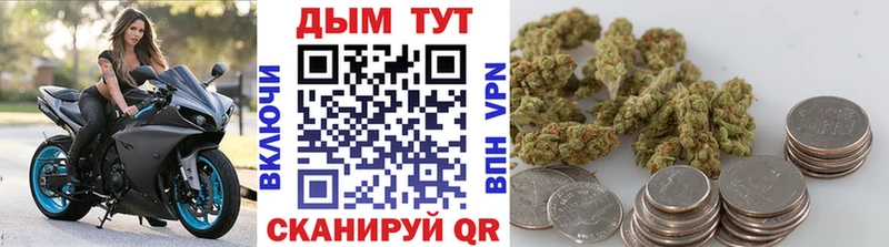 Конопля планчик  Енисейск 